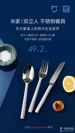 49元两支 米家&双立人不锈钢餐具套装